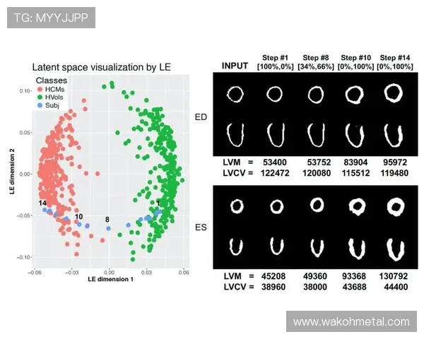 杭州羽毛球队技术争议引发热议球员表现与战术选择的深度探讨