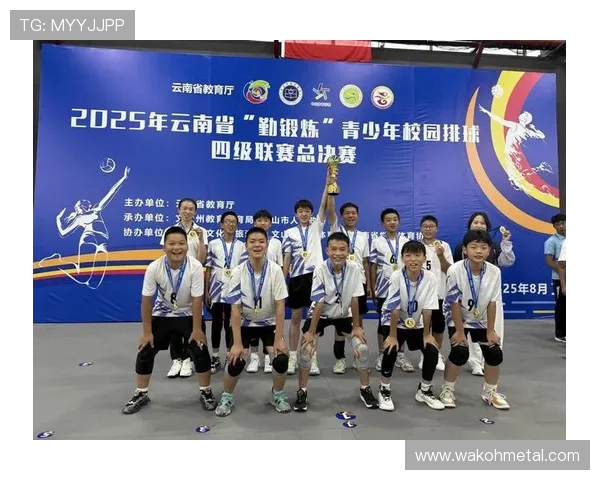 武汉排球队在全国排球比赛经验排行榜中荣获第十名的荣耀时刻